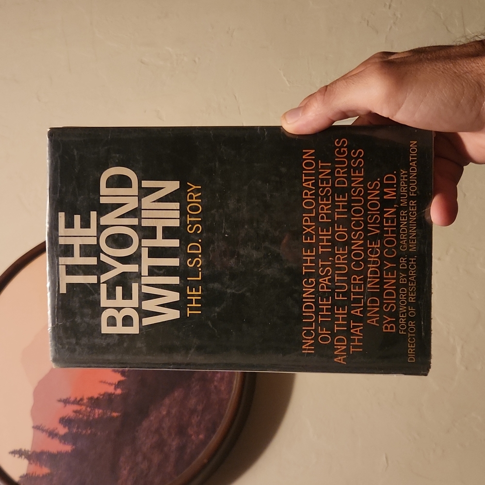 The Beyond Within The LSD Story